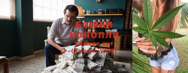 молекула духа Осинники